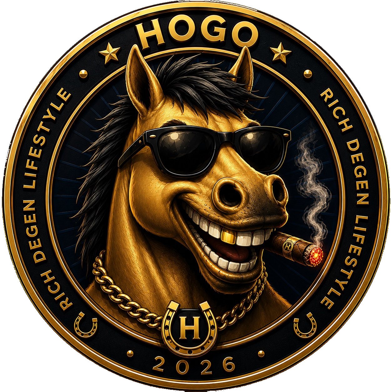 HOGO coin